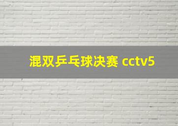 混双乒乓球决赛 cctv5